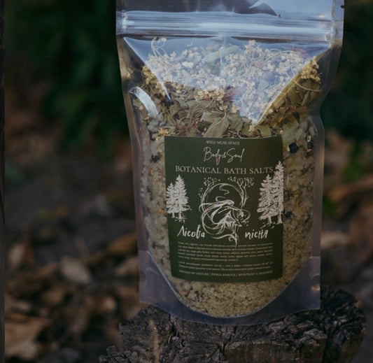 Сіль «Лісова пісня»